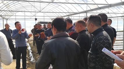 “DMC”技術(shù)在平江首次亮相 開啟技術(shù)推廣服務新篇章